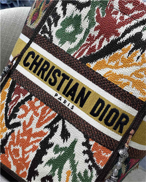 Dior D-BUBBLE BUCKET BAG Dior Paisley Embroidery Orange 022 High