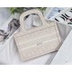 MINI Dior BOOK TOTE Dior Oblique Embroidery Pink High