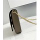 BAGUETTE Chain Leather bag Taupe High