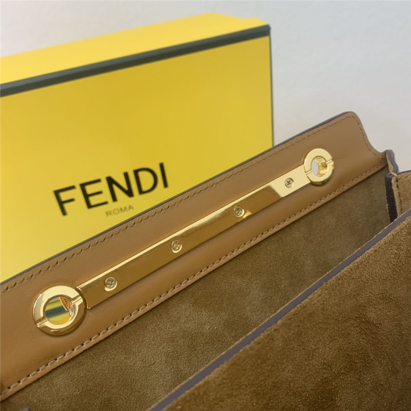 Fendi TOUCH leather bag Brown High