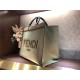 Fendi SUNSHINE MEDIUM Canvas Bag Khaki