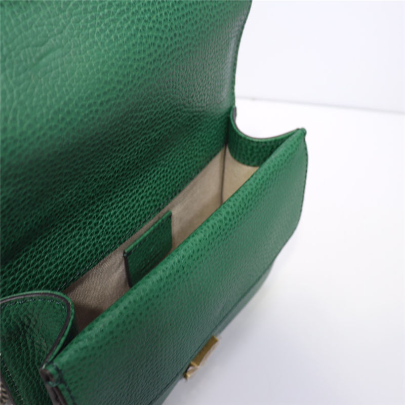 Dionysus leather mini bag 421970 green high