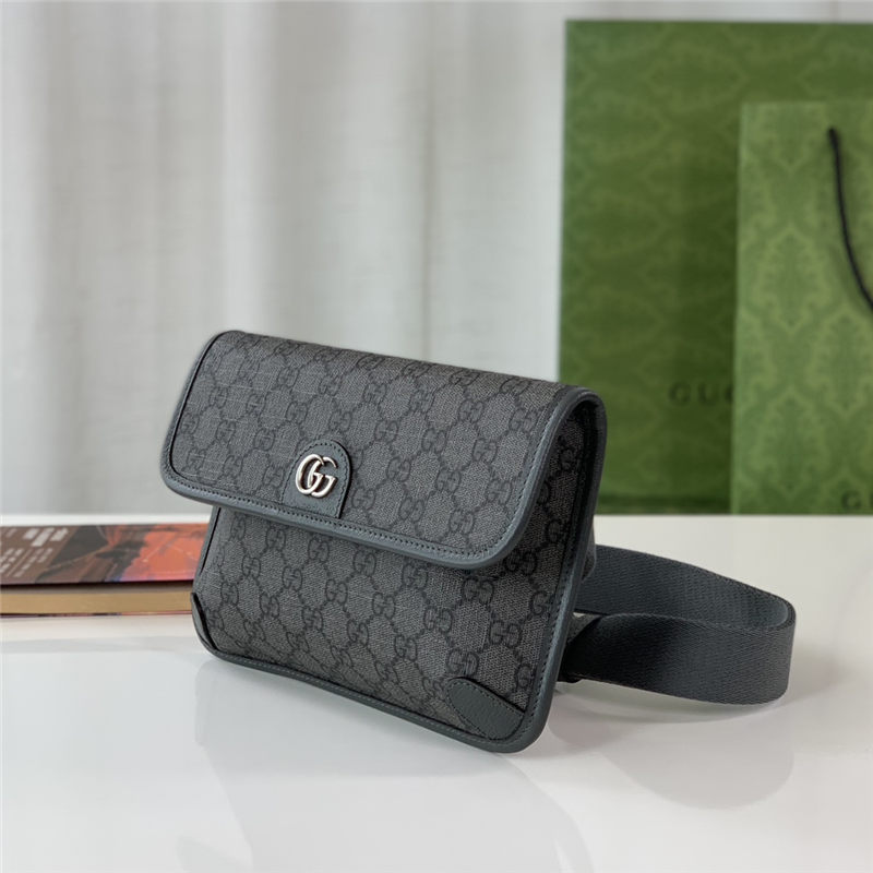 Gucci Ophidia GG small belt bag 752597 High