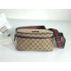 Gucci bumbag 449182 High