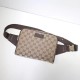 Gucci bumbag 449174 High