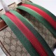 Gucci Backpack 427042 Supreme Embroidery High