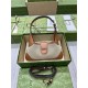 Aphrodite small shoulder bag 735106 Cotton Canvas Beige High