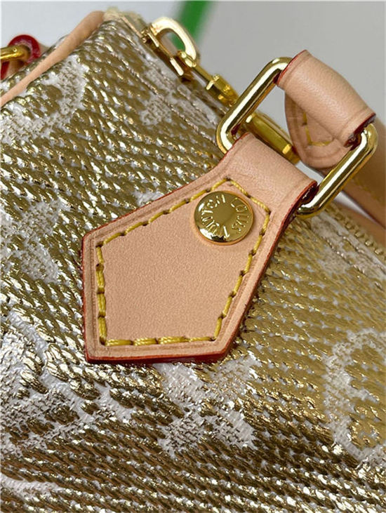 Louis Vuitton Nano Speedy Bag Monogram Gold M82242 High