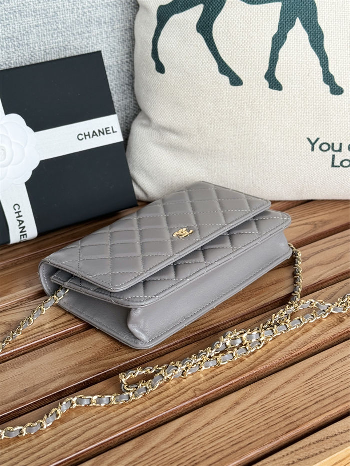 Classic Wallet on Chain AP0250 Lambskin Grey Gold Metal B