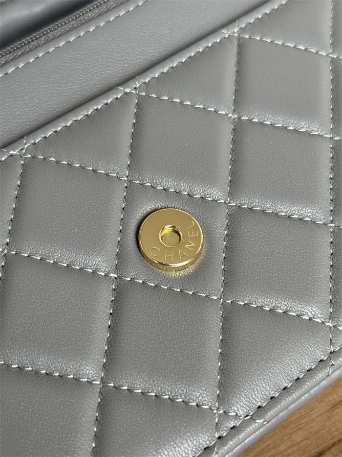 Classic Wallet on Chain AP0250 Lambskin Grey Gold Metal B