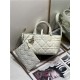 DIOR TOUJOURS BAG SMALL Macrocannage Calfskin Latte High