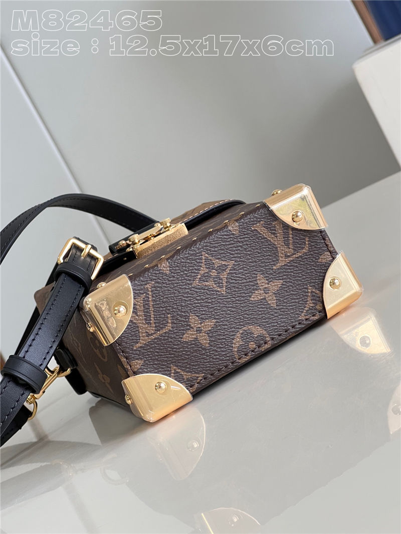 Louis Vuitton Camera Box Monogram and Monogram Reverse M82465 High