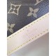 Louis Vuitton Nano Alma Monogram Canvas M82717 High