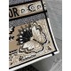 LARGE Dior BOOK TOTE Butterfly Bandana Embroidery Beige High