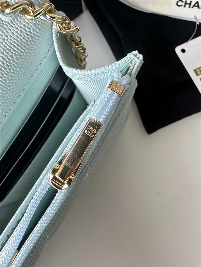 Classic Wallet on Chain A33814 Smaller-Grained Calfskin Gold/Silver Metal Pale Blue A