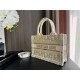 MINI Dior BOOK TOTE Dior Oblique Embroidery Gold With Strap High