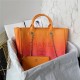 SHOPPING BAG Shaded Calfskin & Silver-Tone Metal Orange, Coral & Pink High