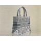 SMALL Dior BOOK TOTE Toile de Jouy Embroidery Grey High