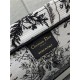 LARGE Dior BOOK TOTE Toile de Jouy Soleil Embroidery High