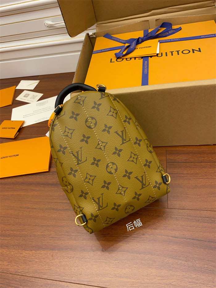 Louis Vuitton Mini Palm Springs Backpack M44872 Top