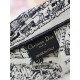 LARGE Dior BOOK TOTE Plan de Paris Embroidery Beige High