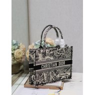 MEDIUM Dior BOOK TOTE Plan de Paris Embroidery Beige High