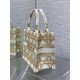 SMALL Dior BOOK TOTE Macrocannage Embroidery High