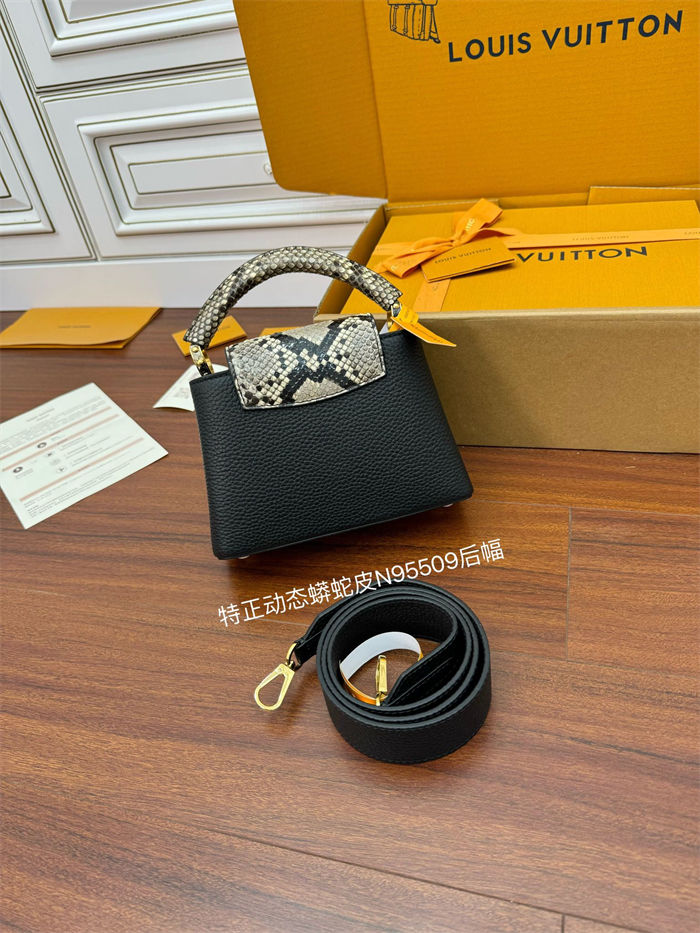 Louis Vuitton CAPUCINES MINI Taurillon Leather N95509 Top