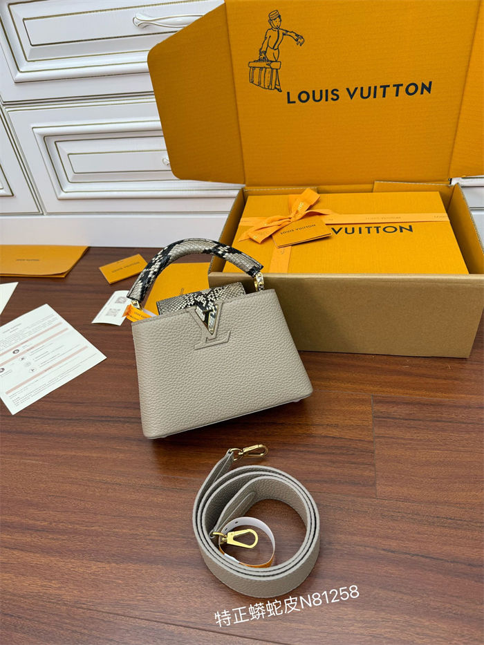 Louis Vuitton CAPUCINES MINI Taurillon Leather N81258 Top