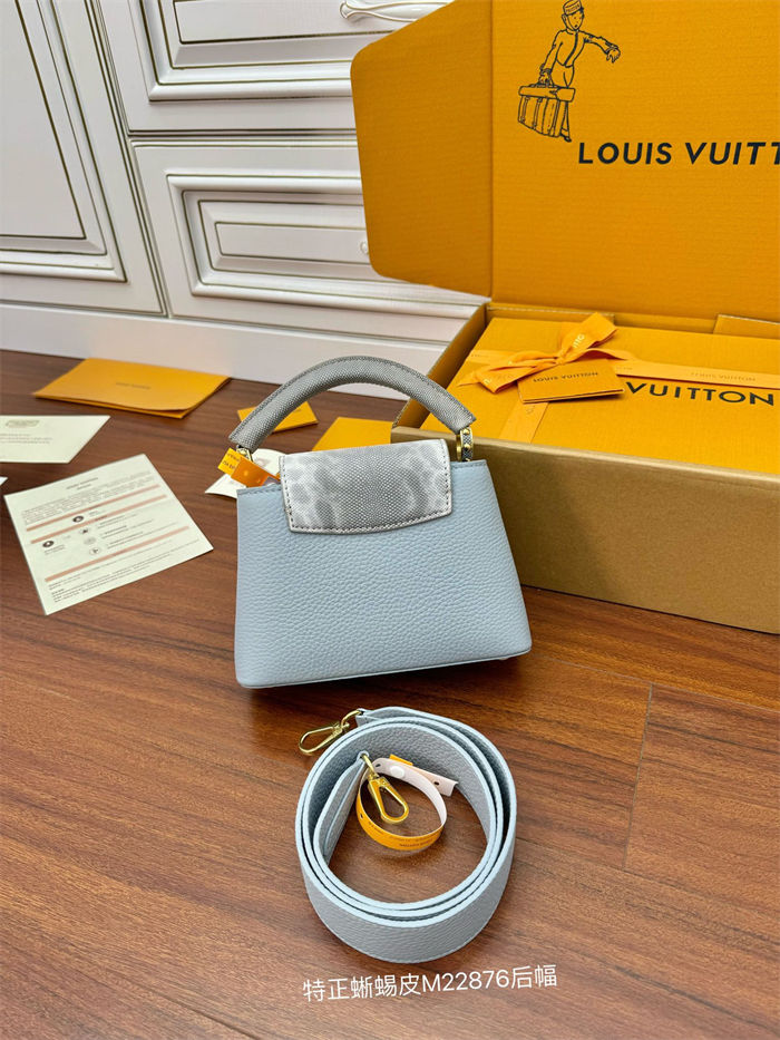 Louis Vuitton CAPUCINES MINI Taurillon Leather M22876 Top