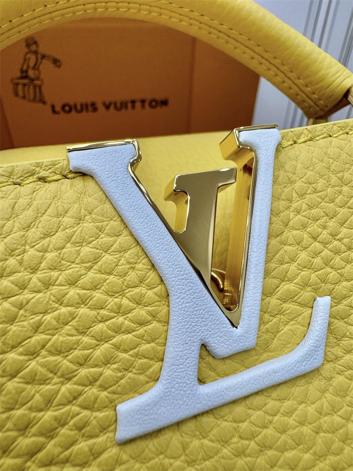 Louis Vuitton CAPUCINES MINI Taurillon Leather M21798 Top