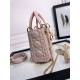 MINI LADY Dior BAG Cannage Lambskin Resin High