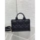 MINI Dior BOOK TOTE Macrocannage Calfskin Black High