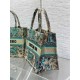 SMALL Dior BOOK TOTE Toile de Jouy Embroidery Sauvage Raffia High