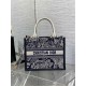 SMALL Dior BOOK TOTE Toile de Jouy Reverse Embroidery Blue High