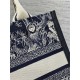 SMALL Dior BOOK TOTE Toile de Jouy Reverse Embroidery Blue High