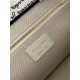 MEDIUM Dior BOOK TOTE Dioramour Je Vous Adore Embroidery High