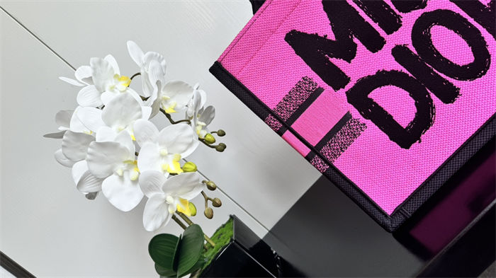 MEDIUM Dior BOOK TOTE Miss Dior Graffiti Embroidery High