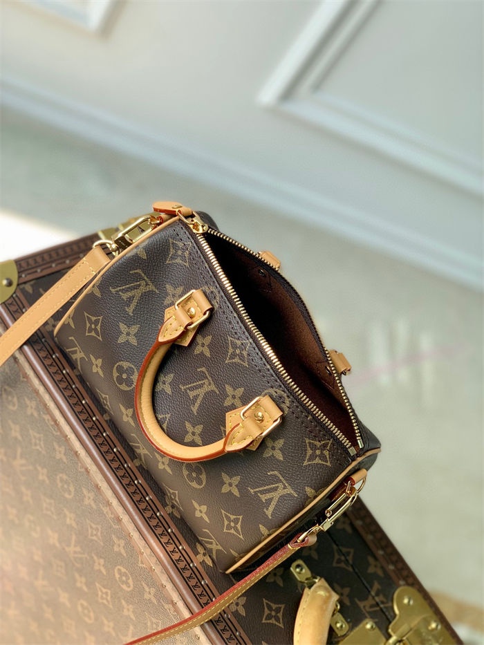 Louis Vuitton SPEEDY BANDOULIÈRE 20 Monogram M81086 High