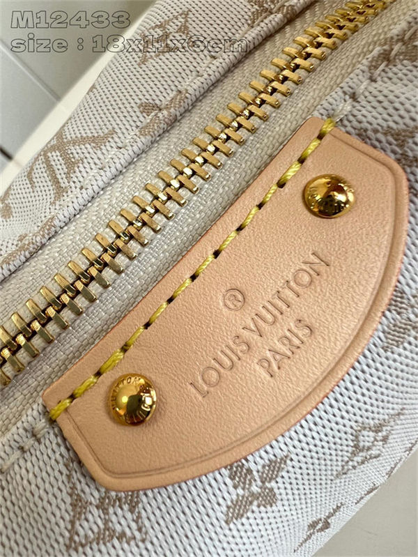 Louis Vuitton Hills Pochette Polyamide M12433 High