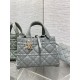 DIOR TOUJOURS BAG MEDIUM Macrocannage Calfskin Stone Gray High