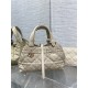 SMALL DIOR TOUJOURS BAG Macrocannage Calfskin Powder Beige High