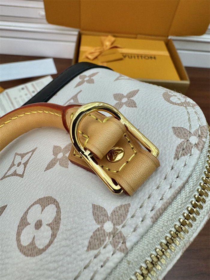 Louis Vuitton Nano Alma Monogram Canvas M46895 Top