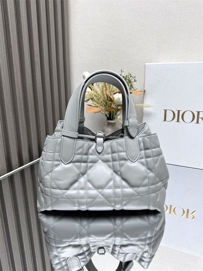 DIOR TOUJOURS BAG SMALL Macrocannage Calfskin Grey High