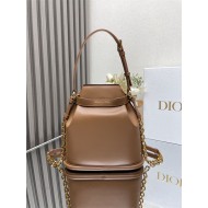 C'est Dior Bag Medium CD-Embossed Calfskin Golden Saddle High