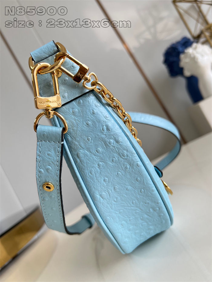 Louis Vuitton LOOP Handbag Ostrich leather N85900 Blue High