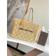 Louis Vuitton Summer Shopper Tote MM Damier Raffia M25008 High