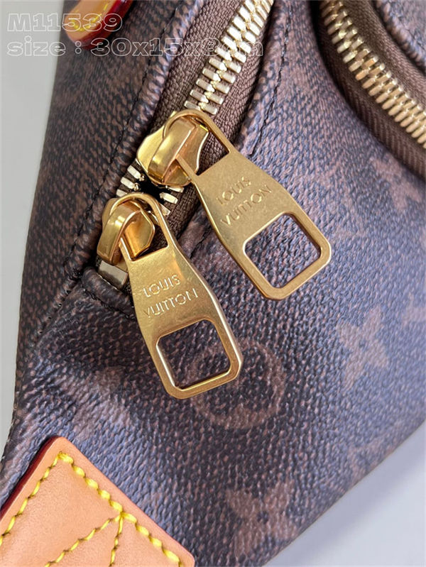 Louis Vuitton RUSH Bumbag Monogram Dust canvas M11539 High