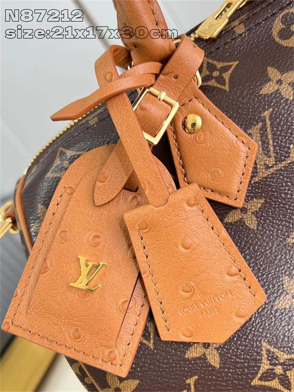 Louis Vuitton Speedy Soft 30 Boho Monogram Coated canvas N87212 High