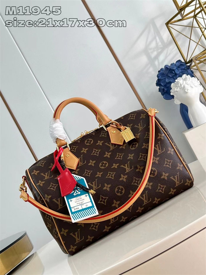 Louis Vuitton Speedy Soft 30 Crafty Monogram Coated canvas M11945 High